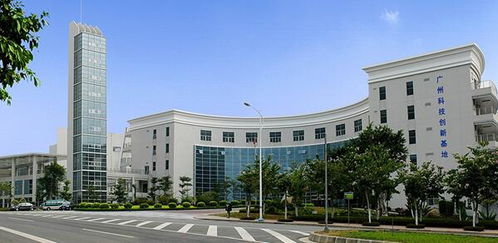 空氣污染致癌風(fēng)險(xiǎn)高,綠陽為您健康保駕護(hù)航