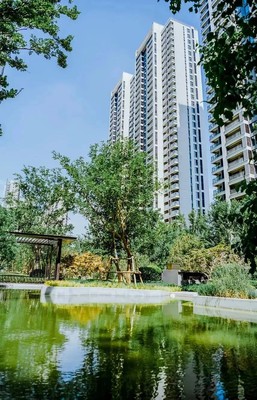 鄭州開(kāi)發(fā)商,我勸你不要做紓困基金的白日夢(mèng)