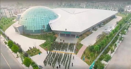 段然 最 土 的產(chǎn)業(yè)如何與市場接軌 2020博鰲文創(chuàng)周